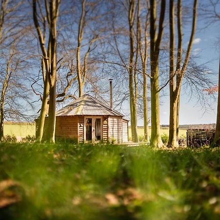 Woodpecker Cabin With Hot Tub King's Lynn Exterior photo